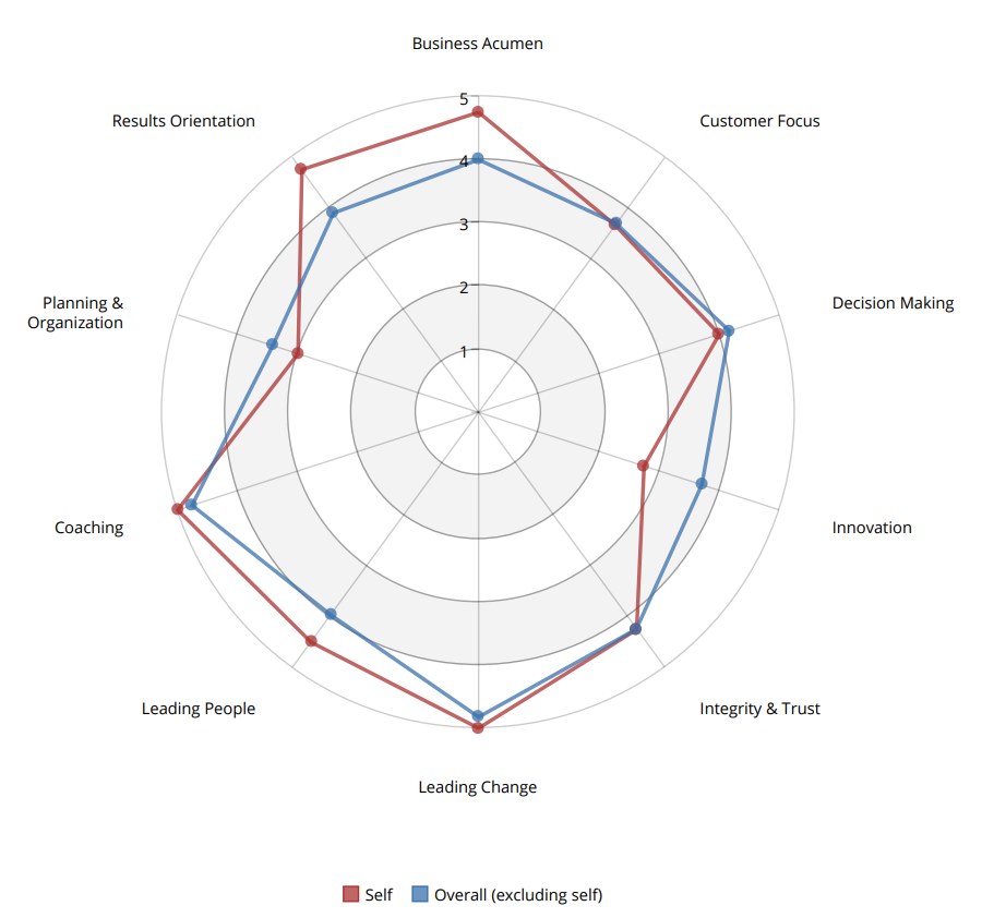A sample radar chart comparing a participant's self-ratings with feedback from others across nine leadership competencies